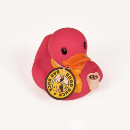 Winter Duck